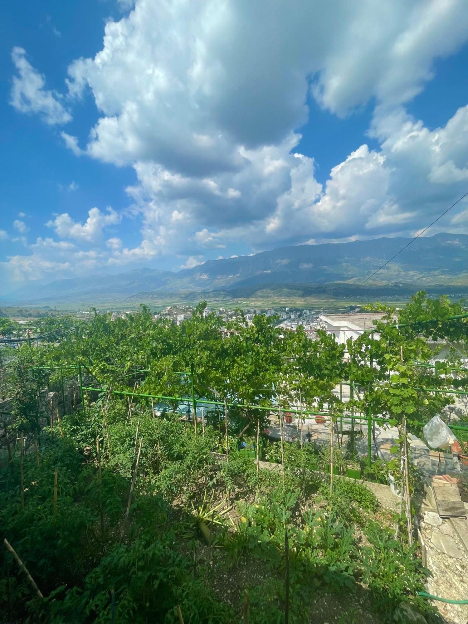 Panoramic View Guest House Gjirokastër 外观 照片
