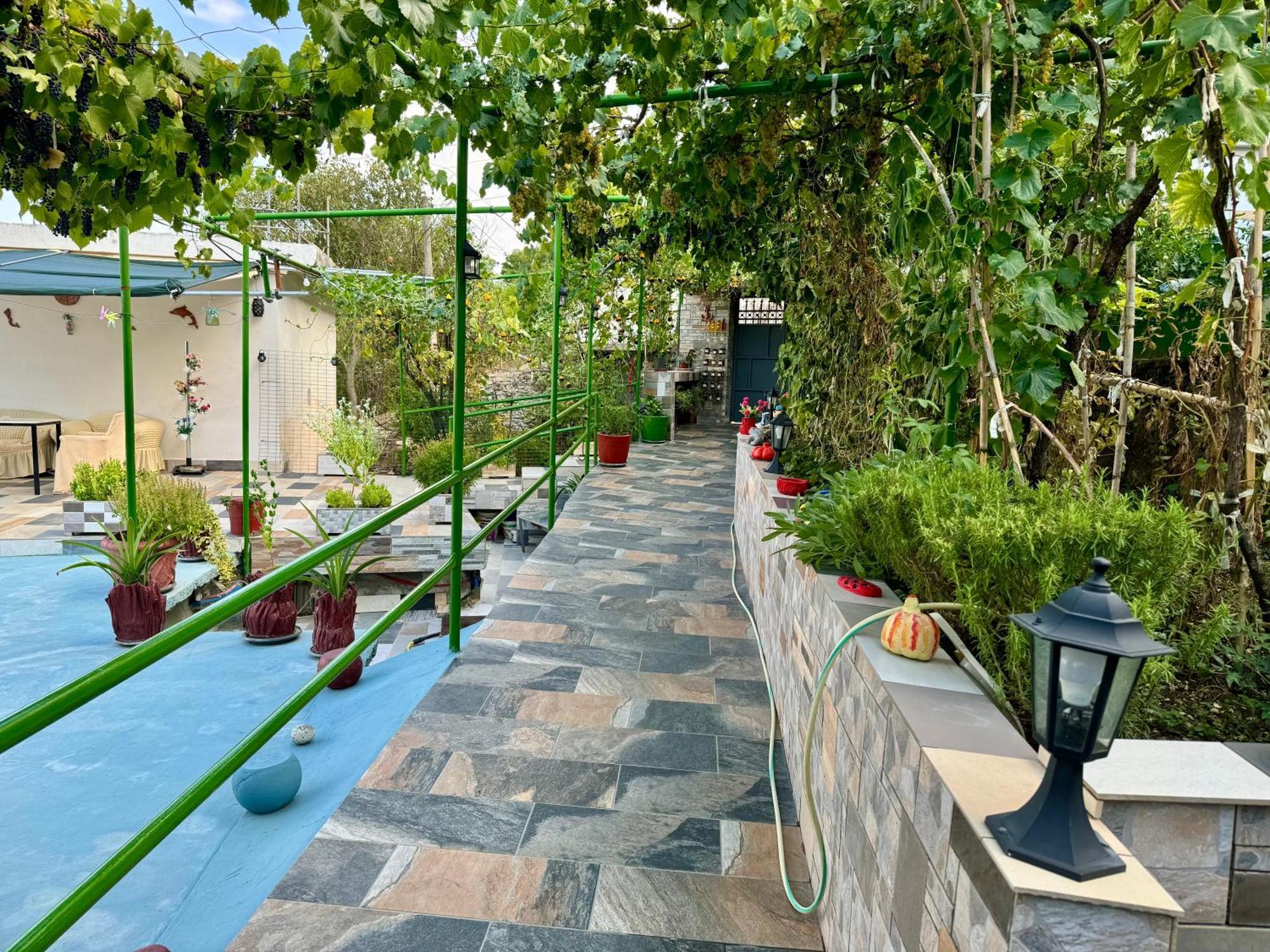 Panoramic View Guest House Gjirokastër 外观 照片
